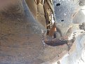 Натиснете снимката за да я уголемите

Име:IMG_0682.jpg
Прегледи:418
Размер:140.6 КБ
ID:5685387