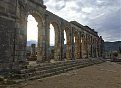 Натиснете снимката за да я уголемите

Име:volubilis1.jpg
Прегледи:943
Размер:171.1 КБ
ID:5689089