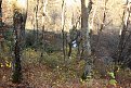 Натиснете снимката за да я уголемите

Име:IMG_6659.jpg
Прегледи:463
Размер:290.5 КБ
ID:5691118