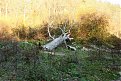 Натиснете снимката за да я уголемите

Име:IMG_6665.jpg
Прегледи:465
Размер:256.4 КБ
ID:5691120