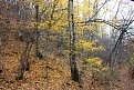 Натиснете снимката за да я уголемите

Име:IMG_6666.jpg
Прегледи:458
Размер:329.2 КБ
ID:5691121