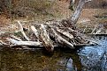 Натиснете снимката за да я уголемите

Име:IMG_6672.jpg
Прегледи:460
Размер:291.7 КБ
ID:5691125