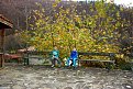 Натиснете снимката за да я уголемите

Име:IMG_6710.jpg
Прегледи:444
Размер:260.8 КБ
ID:5691153