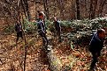 Натиснете снимката за да я уголемите

Име:IMG_6827.jpg
Прегледи:433
Размер:369.9 КБ
ID:5691216