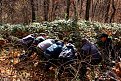 Натиснете снимката за да я уголемите

Име:IMG_6831.jpg
Прегледи:429
Размер:330.8 КБ
ID:5691218