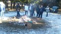 Натиснете снимката за да я уголемите

Име:IMG_20151213_124201.jpg
Прегледи:181
Размер:144.1 КБ
ID:5697252