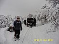 Натиснете снимката за да я уголемите

Име:P1090770.jpg
Прегледи:600
Размер:113.3 КБ
ID:5698982