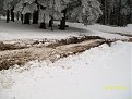Натиснете снимката за да я уголемите

Име:6.02.2015г. 032.jpg
Прегледи:400
Размер:122.2 КБ
ID:5701915