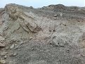 Натиснете снимката за да я уголемите

Име:12789655_1327153983977279_1941199363_o.jpg
Прегледи:1522
Размер:196.9 КБ
ID:5705410
