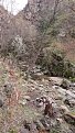 Натиснете снимката за да я уголемите

Име:DSC_3145.jpg
Прегледи:561
Размер:110.1 КБ
ID:5712123