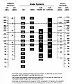 Натиснете снимката за да я уголемите

Име:visc.jpg
Прегледи:921
Размер:59.7 КБ
ID:5713682