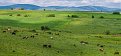 Натиснете снимката за да я уголемите

Име:P5010018-Pano.jpg
Прегледи:290
Размер:305.5 КБ
ID:5713770