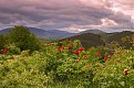Натиснете снимката за да я уголемите

Име:P5040122.jpg
Прегледи:248
Размер:425.2 КБ
ID:5714206