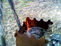 Натиснете снимката за да я уголемите

Име:IMG0546A.jpg
Прегледи:1046
Размер:127.1 КБ
ID:5720876