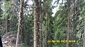 Натиснете снимката за да я уголемите

Име:P1060152.jpg
Прегледи:562
Размер:202.5 КБ
ID:5731370
