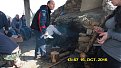 Натиснете снимката за да я уголемите

Име:P1060167.jpg
Прегледи:553
Размер:111.8 КБ
ID:5731375
