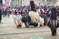 Натиснете снимката за да я уголемите

Име:P1290414 12.jpg
Прегледи:325
Размер:255.1 КБ
ID:5742416