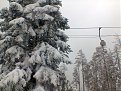 Натиснете снимката за да я уголемите

Име:Снимка0754.jpg
Прегледи:563
Размер:168.5 КБ
ID:5746635
