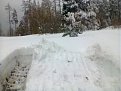 Натиснете снимката за да я уголемите

Име:Снимка0766.jpg
Прегледи:557
Размер:108.5 КБ
ID:5746645