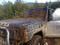 Натиснете снимката за да я уголемите

Име:Снимка0814.jpg
Прегледи:629
Размер:232.1 КБ
ID:5747166