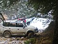 Натиснете снимката за да я уголемите

Име:Снимка1021.jpg
Прегледи:579
Размер:221.4 КБ
ID:5750527