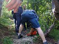 Натиснете снимката за да я уголемите

Име:Снимка1075.jpg
Прегледи:363
Размер:362.8 КБ
ID:5752334
