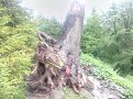 Натиснете снимката за да я уголемите

Име:IMG_20170604_162933_HDR.jpg
Прегледи:552
Размер:184.8 КБ
ID:5755857