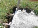 Натиснете снимката за да я уголемите

Име:IMG_20170605_104644_HDR.jpg
Прегледи:6432
Размер:832.6 КБ
ID:5755920