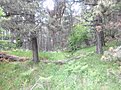 Натиснете снимката за да я уголемите

Име:IMG_20170611_161442_HDR.jpg
Прегледи:360
Размер:198.5 КБ
ID:5756373