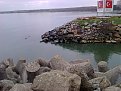 Натиснете снимката за да я уголемите

Име:Изображение2188.jpg
Прегледи:748
Размер:660.6 КБ
ID:5756559