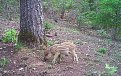 Натиснете снимката за да я уголемите

Име:PICT0537.JPG
Прегледи:304
Размер:528.2 КБ
ID:5756585