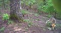 Натиснете снимката за да я уголемите

Име:PICT1040.JPG
Прегледи:285
Размер:232.3 КБ
ID:5756652