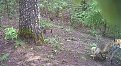 Натиснете снимката за да я уголемите

Име:PICT1041.JPG
Прегледи:268
Размер:238.6 КБ
ID:5756653