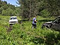 Натиснете снимката за да я уголемите

Име:19458269_440542176310764_1746176197_n.jpeg
Прегледи:352
Размер:93.7 КБ
ID:5757367
