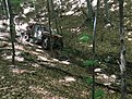 Натиснете снимката за да я уголемите

Име:IMG_0967.JPG
Прегледи:323
Размер:504.2 КБ
ID:5757370