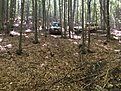 Натиснете снимката за да я уголемите

Име:IMG_0969.JPG
Прегледи:343
Размер:536.2 КБ
ID:5757372
