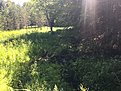 Натиснете снимката за да я уголемите

Име:IMG_0984.JPG
Прегледи:352
Размер:377.8 КБ
ID:5757374