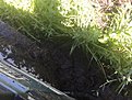 Натиснете снимката за да я уголемите

Име:IMG_0990.JPG
Прегледи:337
Размер:344.9 КБ
ID:5757378