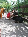 Натиснете снимката за да я уголемите

Име:DSC00514.JPG
Прегледи:289
Размер:884.3 КБ
ID:5766100