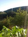 Натиснете снимката за да я уголемите

Име:20170914_180955.jpg
Прегледи:3005
Размер:96.2 КБ
ID:5767190