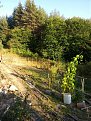 Натиснете снимката за да я уголемите

Име:20170914_181311.jpg
Прегледи:2903
Размер:242.5 КБ
ID:5767194