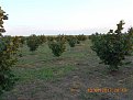 Натиснете снимката за да я уголемите

Име:DSCN3101.jpg
Прегледи:586
Размер:135.7 КБ
ID:5769332