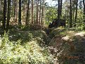 Натиснете снимката за да я уголемите

Име:P8200186.jpg
Прегледи:407
Размер:841.5 КБ
ID:5771687