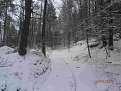 Натиснете снимката за да я уголемите

Име:P1140028.jpg
Прегледи:490
Размер:556.3 КБ
ID:5778296