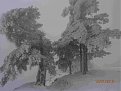 Натиснете снимката за да я уголемите

Име:P1140079.jpg
Прегледи:485
Размер:316.8 КБ
ID:5778306