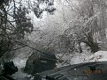 Натиснете снимката за да я уголемите

Име:P1210037.jpg
Прегледи:482
Размер:192.4 КБ
ID:5779417