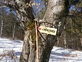 Натиснете снимката за да я уголемите

Име:P1280072.jpg
Прегледи:771
Размер:199.3 КБ
ID:5779886