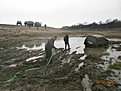 Натиснете снимката за да я уголемите

Име:P2180618_1024x768.JPG
Прегледи:271
Размер:157.3 КБ
ID:5781366