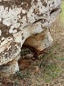 Натиснете снимката за да я уголемите

Име:IMG_20180406_163821.jpg
Прегледи:440
Размер:510.2 КБ
ID:5785653