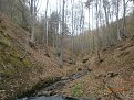 Натиснете снимката за да я уголемите

Име:P4150086.jpg
Прегледи:572
Размер:191.4 КБ
ID:5785974